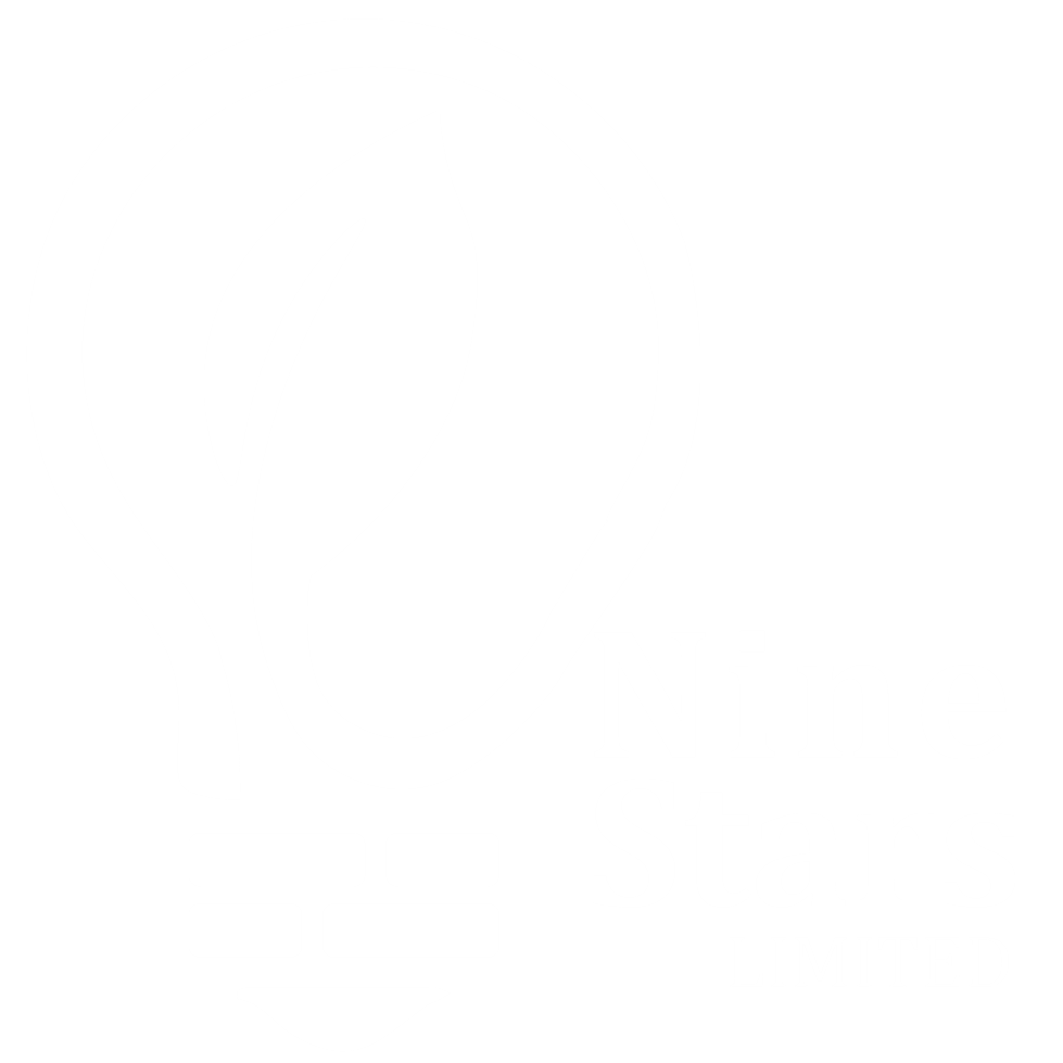 Nine Stars White Logo